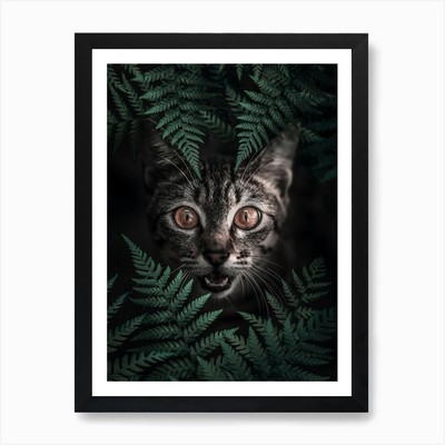Kitty Cat Art Print Framed Wall Art Poster Canvas Print Picture