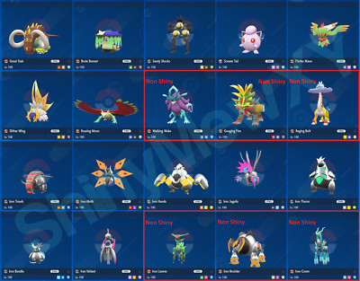 Any Shiny** 6IV Level 100 XXL* EV Trained Paradox Pokemon Scarlet/Violet Home