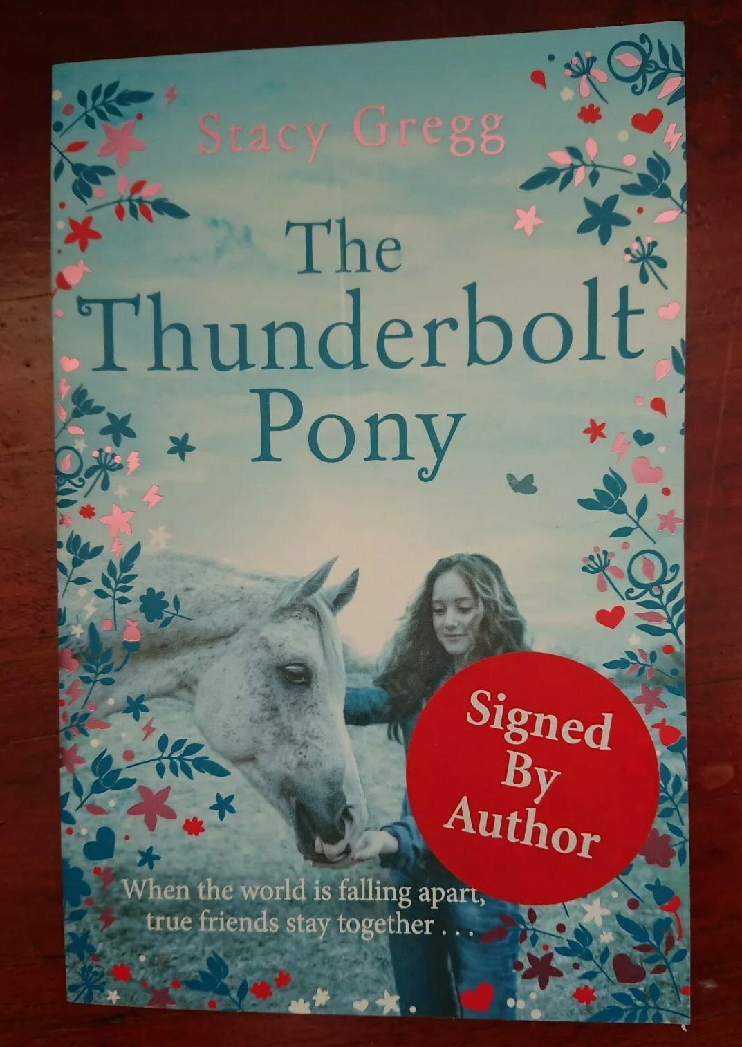 The Thunderbolt Pony Stacy Gregg SIGNED COPY horse story horses teen fiction NEW