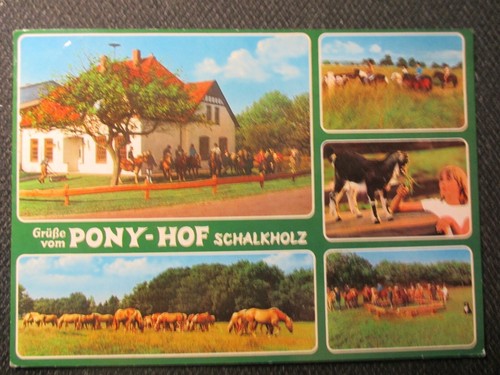 RAR seltene AK alter Zeit ca 1975 ! SCHALKHOLZ Pension Hotel Ponyhof !