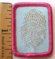 Girl Scout Sr. UNCOVERING EVIDENCE BADGE IP Interest Project Patch Fingerprint