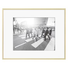 16.4" x 20.4" Matted to 11" x 14" Thin Metal Gallery Frame
