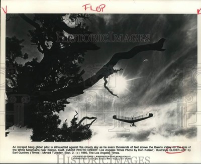 1980 Press Photo Hang Glider Pilot soars over Owens Valley, Bishop