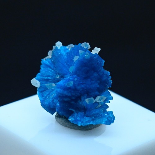 Cavansite with tiny calcites (non precious natural stone) # 4116 - Picture 2 of 7