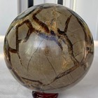 Bild 10 von 11