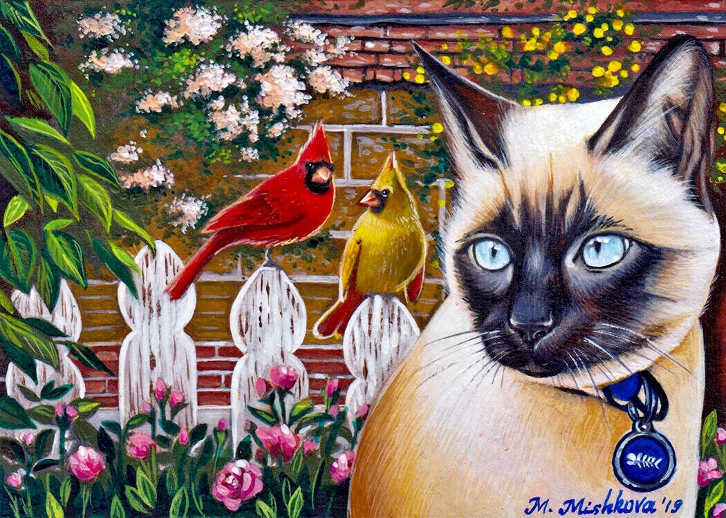 Edición limitada ACEO impresión Gato Siamés aves Cardenal Flor De Primavera M....