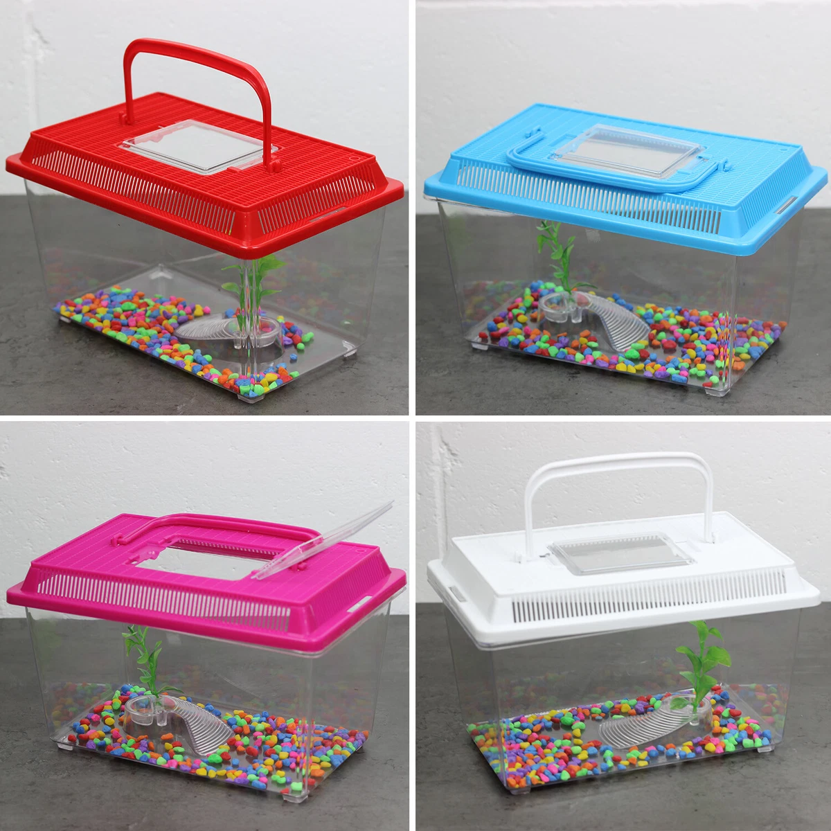 Small Plastic Fish Tank