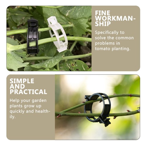 100 Pcs liquidation Plant Clips Gardening Vine-climbing Clamp Tomato Support