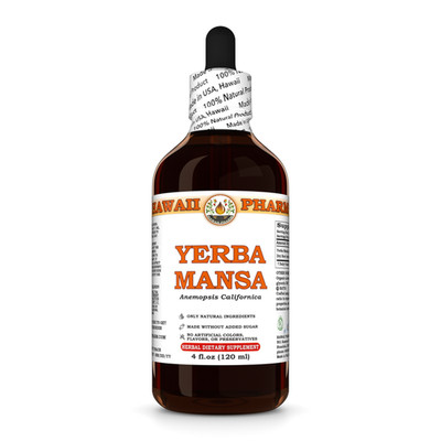 Yerba Mansa (Anemopsis Californica) Dried Root Liquid Herbal Extract