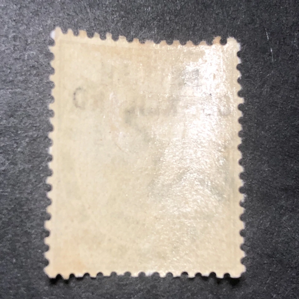 1903 BRITISH SOMALILAND 1/2a STAMP - HALF ANNA  - Sg SO 1 - MINT - Image 3 of 3