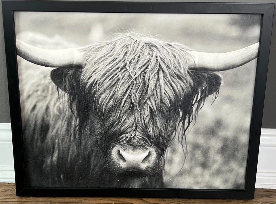 Arte de pared Highland Cow - Impresión fotográfica enmarcada en blanco y negro decoración rústica de granja Foto 2 de 4