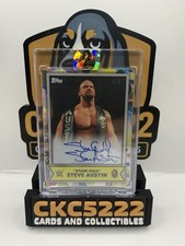2025 Topps WWE X Bape Wrestling Checklist Guide in-content 22