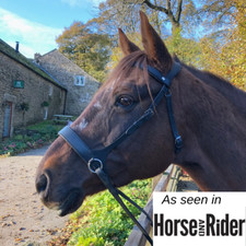 Bitless Bridle Sidepull Anatomical Padded Leather