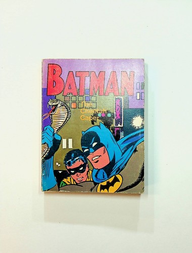 Batman and Robin in The Cheetah Caper #5771NP FN 1974 | eBay