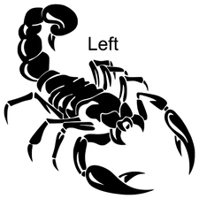 Scorpion Decal Sticker Animal Car Truck Window JDM Laptop Sticker