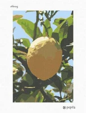 Ethrog Needlepoint Kit or Canvas