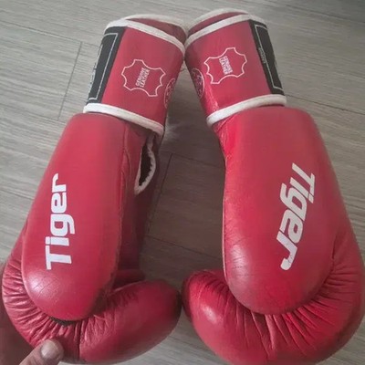 Greenhill Tiger Boxing Gloves 10oz, Used, Well Maintained