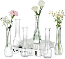 NUPTIO Glass Bud Vases for Flower: 6 Pcs 21.7cm Tall Small Vase for Wedding Dec