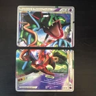 Rayquaza & Deoxys Legend 89 & 90 - 2010 Pokemon World Champ. David Cohen