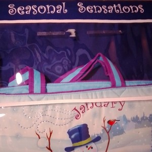 Seasonal Sensations Hanging Handbag Organizer, Multicolor 20 in willabee&ward