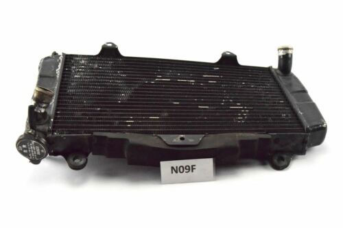 Yamaha FZR 1000 3LE Bj 1989 - Radiator N09F