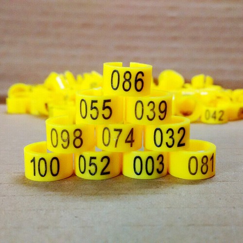 100 Pcs Chicks Rings Clip Poultry Leg Band Bird Pigeon Parrot 1-100 Numbered 8mm - Picture 15 of 17