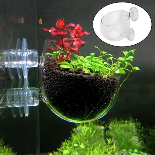 Aquatic Plant Growing Pot Holder Suction Acrylic Cups For Aquarium Fish Tank - Picture 6 of 14