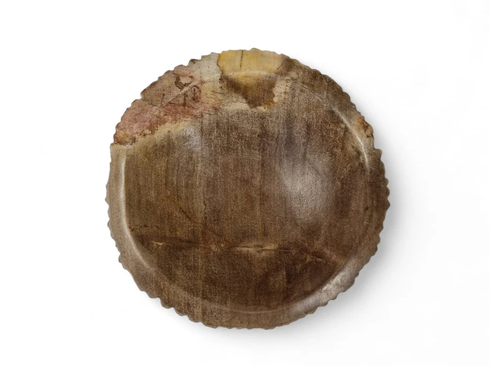 Bandeja para llaves de madera petrificada cuenco decorativo placa fósil de piedra jabonera Foto 2 de 4