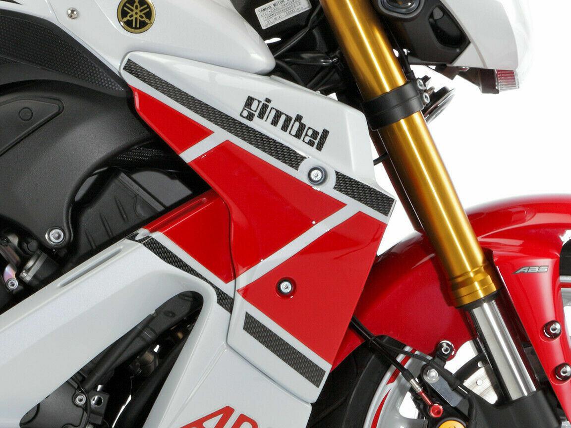 Gimbel Cooler - Side Panel YAMAHA FZ 8 (RN25) | 10-FF Gimbel Cooler - Side Panel YAMAHA FZ 8 (RN25) | 10-FF