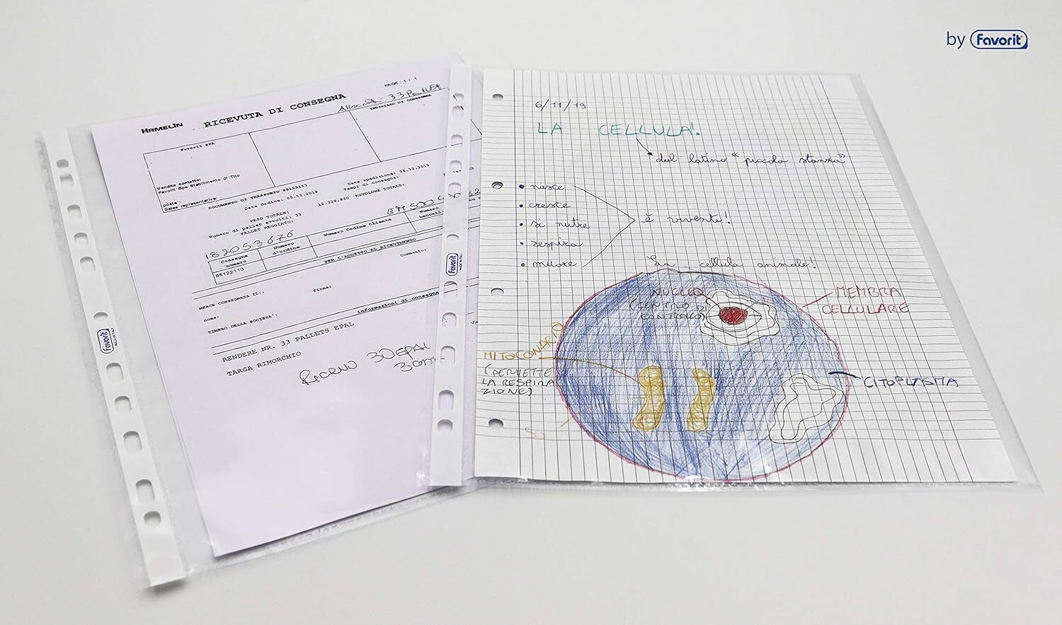 Thumbnail - Favorit Buste Perforate Lucide 22x30cm 50 Pezzi Trasparenti Neu Ovp