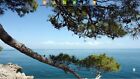 Bild 3 von 11