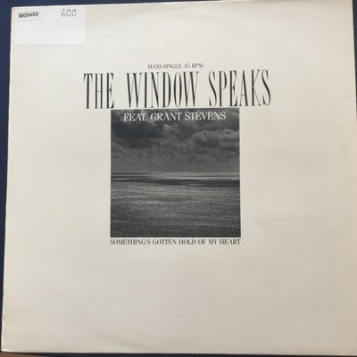 The Window Speaks - Something's Gotten Hold Of My Heart, 12'', (Vinyl)