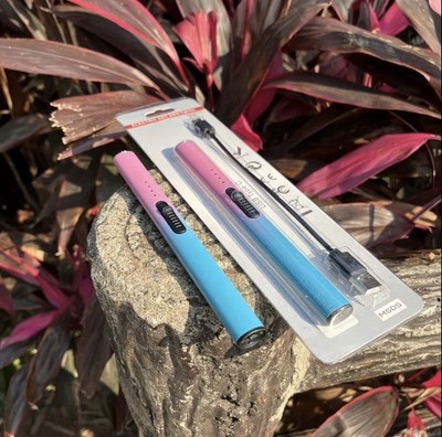Buy 1 GET 2 Rechargeable Electric Arc Candle Lighter, Windproof USB-C, Pink/Blue
