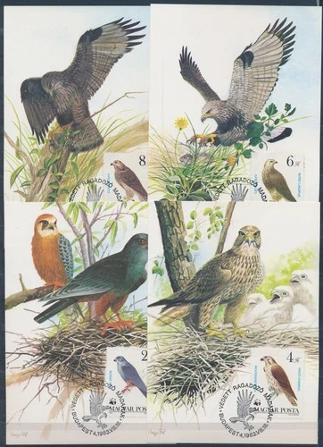 XE59682 Hungary 1983 birds animals maxicards used