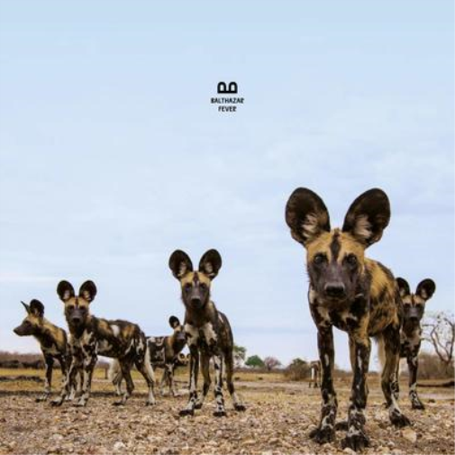 Balthazar Fever (CD) Album