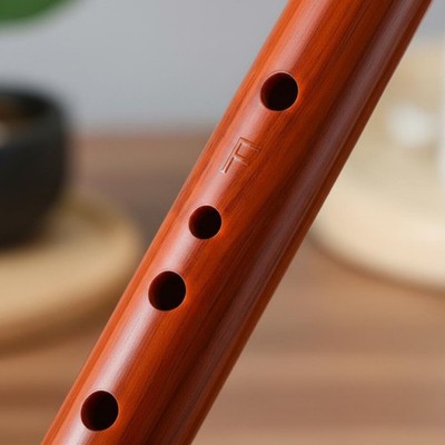 Bawu Flute Hand Polished Mouthpiece Faux Woodwind Instrument for Music Lesson