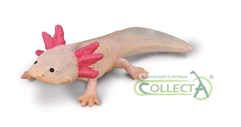 Collecta 80015 Axolotl 9 cm Wasserwelt Neuheit 2024