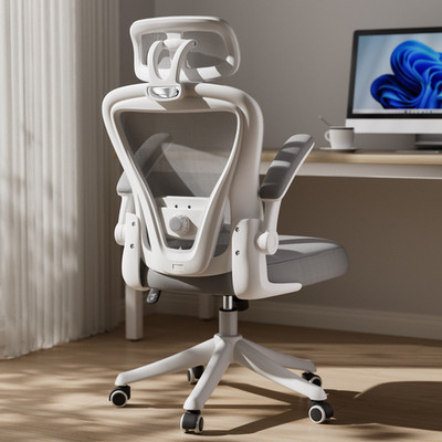 Computer Desk Chair Ergonomic Office Chair with Wheels Flip-Up Armrests Gray