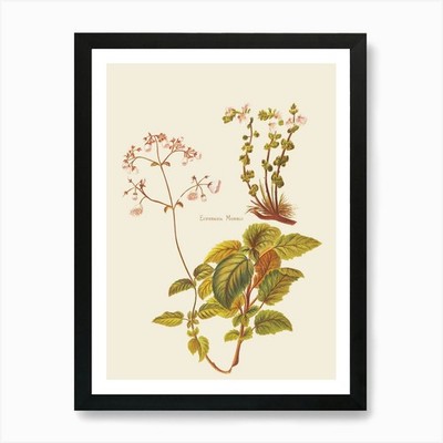 Emmanuel Moor Kunstdruck gerahmt Wandbild Poster Leinwanddruck Bild