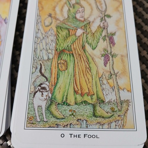 Nigel Jackson Tarot Book & Deck 2000 Llewellyn Publications Excellent Condition - Picture 5 of 9