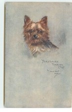 Yorkshire Terrier (Toy) - Maud West Watson - Oilette - 7329