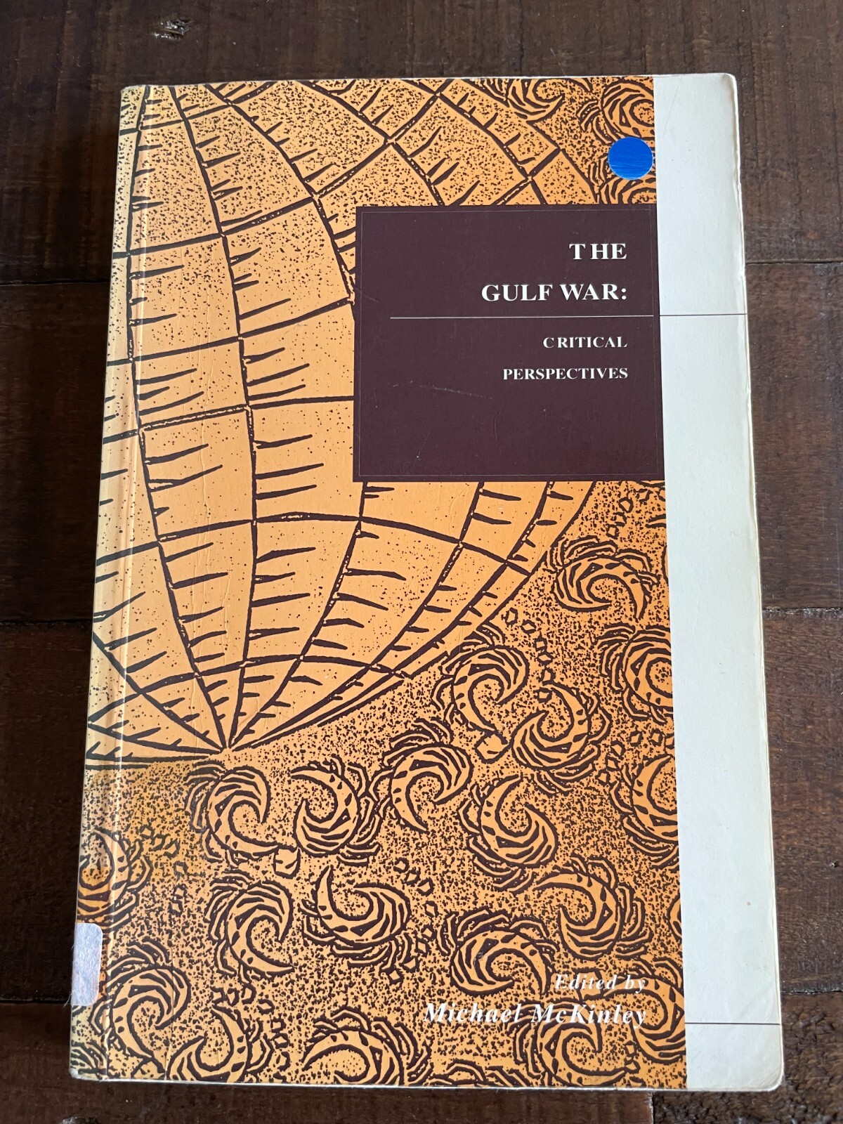 The Gulf War: Critical Perspectives PB Michael McKinley