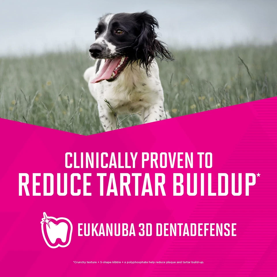 Paquete de 12 alimentos húmedos para perros adultos guiso vegetal carne de res Eukanuba para perros activos Foto 4 de 4