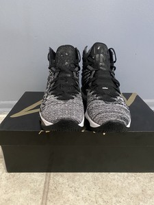 lebron 17 man in the arena