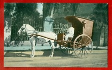 PHILIPPINE MANILA HORSE AND COACHER Mfg. FOR D. DENNISTON VINTAGE POSTCARD 315