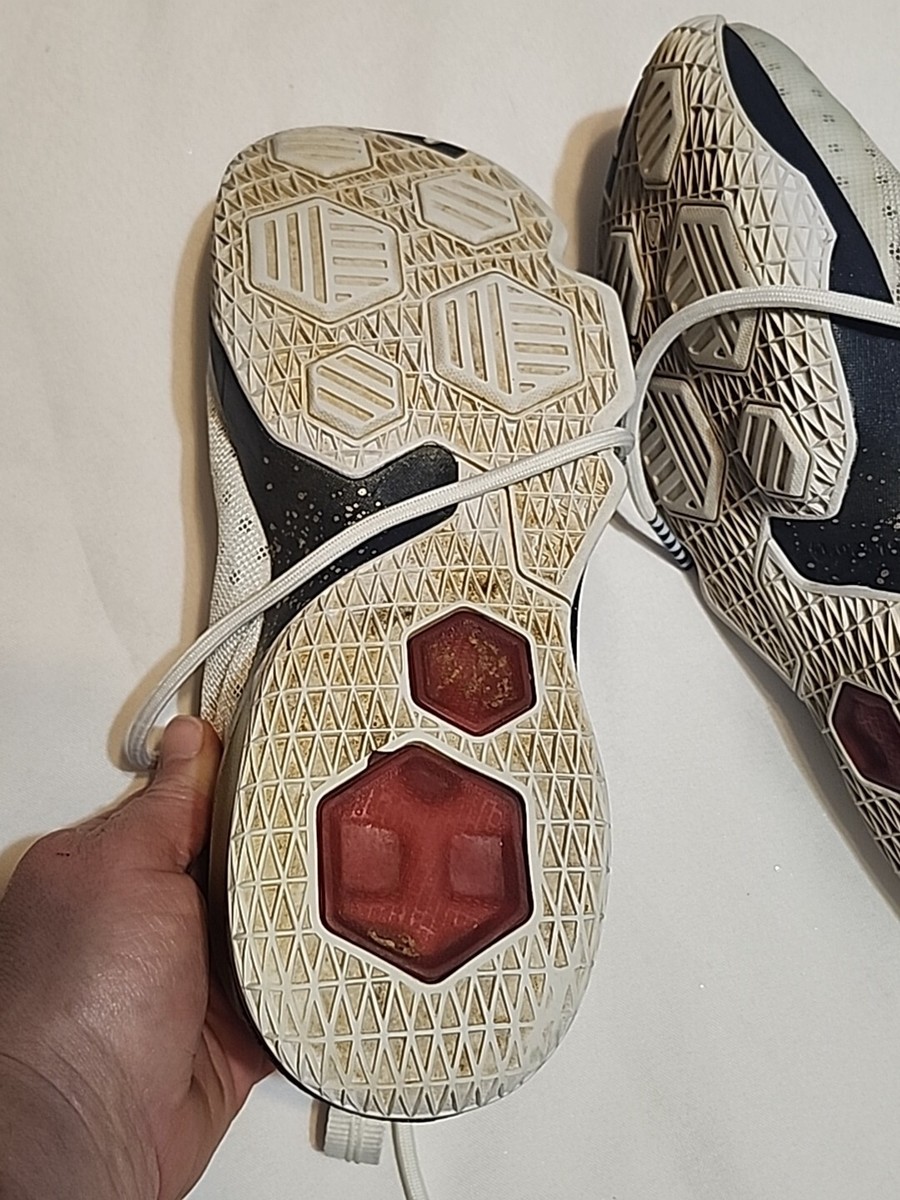 Nike Lebron James XIII Basketball Shoes Men 10 - 2016 Low  display picture 2