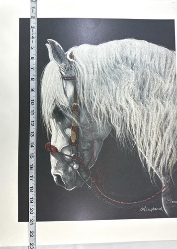 BK England White Arabian Horse Signed Numbered Lithograph 20x23” - Picture 5 of 5