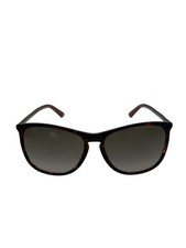 GUCCI Sunglasses Brown Tortoise GG3767/S GXZHA Web Stripe Ladies Authentic Italy