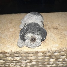 Estatuilla de perro Sandicast SHIH TZU 1986 negra gris S20 Sandra Brue Napper