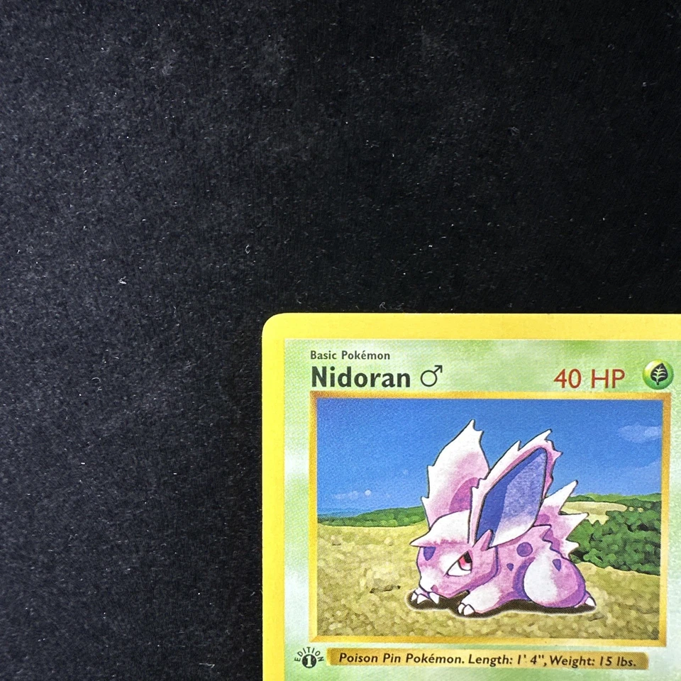 Nidoran Male 1st Edition Shadowless Pokemon Card Base Set 55/102 - MP - Image 3 of 4